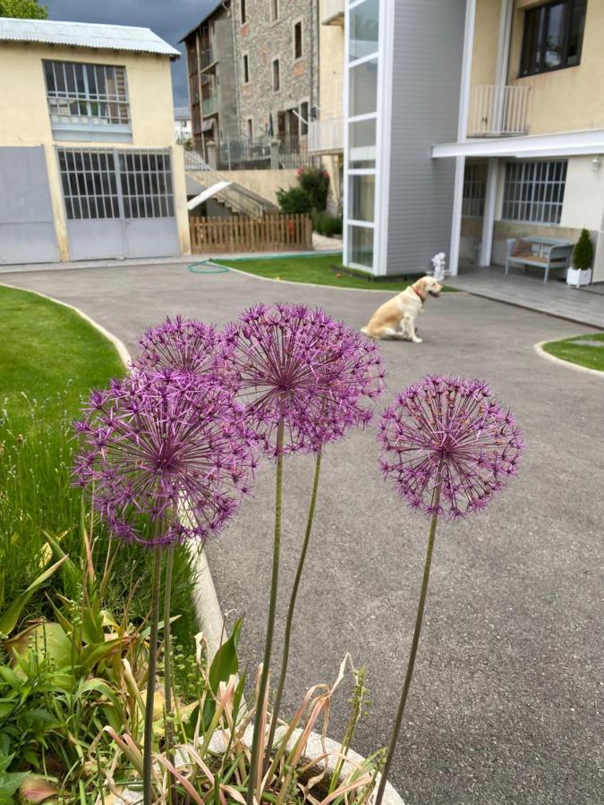 Chez Helene 3 Etoiles, Labellise Disabled Pmr,Pour 4 Personnes Chiens Bienvenus-Pet Friendly Apartment Bourg-Madame Luaran gambar
